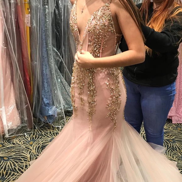 Prom Dress / Quinceanera Dress / Formal Dress - Picture 2 of 5